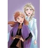 Koc su mkrofibry 100x150 Frozen Kraina Lodu Anna Elsa violetinė JF24