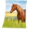 Herding Kocyk polarowy 130x160 Koń na łące 5108 Konik Horse pled dziecięcy
