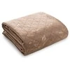 Eurofirany D91/N/LUIZ/6 170X210 C.BEIGE+GOLD Lovatiesė