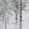 Eurofirany OBRAZ/647/B 45X60X2.5