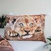 Patalynė bawełniana 140x200 Lwy lwiątka lew Lion cubs 8568 geometria trójkąty poszewka 70x90 smėlio sp.