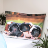 Patalynė bawełniana 140x200 Świnka morska poszewka 70x90