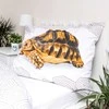 Patalynė bawełniana 140x200 Żółw Turtle balta smėlio sp. poszewka 70x90