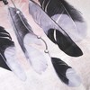 Medvilninio satino patalynės komplektas 160x200 cm, 2 pagalvių užvalkalai 70x80 cm, OEKO-TEX sertifikatas, paslėptas užtrauktukas, tamsiai mėlynos ir rožinės spalvos plunksnų raštas, minkšta patalynė