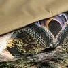 Eurofirany Medvilnės satino patalynės komplektas 160x200 cm, juodos ir smėlio spalvos drugelių dizainas, patvarus užtrauktukas, 125 g/m² svoris, antklodės ir pagalvių užvalkalai, miegamojo tekstilė Patalynė