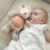 NATTOU Pliušinis ežiukas ZOE, 32 cm