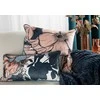 Eurofirany PREM/EMMA/CHP 62X16X16 WYP
