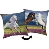 Poduszka dekoracyjna 40x40 Koń Konie Horse 02 JF24