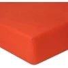 Multitex Paklodė su guma 100 x 200 Matex JERSEY 14