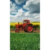 Rankšluostis Ręczniczek do przedszkola 30x50 Traktor traktor dziecięcy Babies