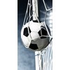 Rankšluostis Ręcznik plażowy 70x140 Futbolo kamuolys Football 02 8810