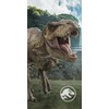 Rankšluostis Ręcznik plażowy 70x140 Park Jurajski dinozaur 0776 Jurassic World Park bawełniany dziecięcy