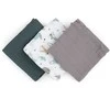 Petite&amp;Mars Moussy - bambukinės sauskelnės, rinkinys iš 3 | Pilka