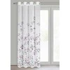 Eurofirany ZAS/ANTEA/B+ROŽINĖ 140X250 TRANSL
