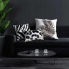 Eurofirany MS/CHP/MING10C 30X45 B+CZAR