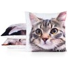 Eurofirany CHP/ANIMAL/71 45X45