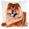 Eurofirany CHP/ANIMAL/73 45X45