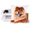 Eurofirany CHP/ANIMAL/73 45X45