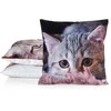 Eurofirany CHP/ANIMAL/75 45X45