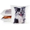 Eurofirany CHP/ANIMAL/77 45X45