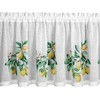 Eurofirany Euro užuolaidos FIR/CLOE/B+ZIEL 60X150 TUNELIS
