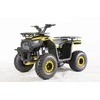 1Deame Benzininis keturratis 120CC DISCOVER, Geltona