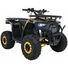 1Deame Benzininis keturratis 120CC DISCOVER, Geltona