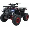 1Deame Benzininis keturratis 120CC DISCOVER, Raudona