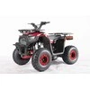 1Deame Benzininis keturratis 120CC DISCOVER, Raudona