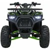 1Deame Benzininis keturratis 120CC DISCOVER, Žalias
