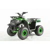 1Deame Benzininis keturratis 120CC DISCOVER, Žalias