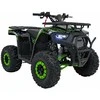 1Deame Benzininis keturratis 120CC DISCOVER, Žalias
