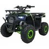 1Deame Benzininis keturratis 120CC DISCOVER, Žalias