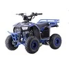 1Deame Mėlyna Benzininis keturratis 110CC EXPLORER, Mėlyna