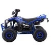 1Deame Mėlyna Benzininis keturratis 110CC EXPLORER, Mėlyna