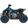 1Deame Mėlyna Benzininis keturratis RENEGADE HighPer 110CC, Mėlyna