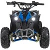 1Deame Mėlyna Benzininis keturratis RENEGADE HighPer 110CC, Mėlyna