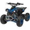 1Deame Mėlyna Benzininis keturratis RENEGADE HighPer 110CC, Mėlyna
