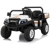 Pronice Elektromobilis Champion Pick-Up, Baltas