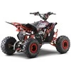 1Deame Benzininis keturratis DESERT STORM LIFT, Raudona