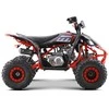 1Deame Benzininis keturratis DESERT STORM LIFT, Raudona
