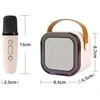 Ramiz Karaoke Microphone and Speaker Set