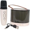Ciuciubabka Karaoke Microphone + Illuminated Speaker Set