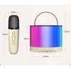 Ciuciubabka Karaoke Microphone + Illuminated Speaker Set