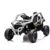 Elektrinis Buggy Kawasaki TERYX KRX1000, Pilkas