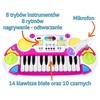 Keyboard 2 oktawowy Rožinė
