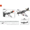 Ramiz MUSTANG FIGHTER P-51 KARINIO LĖKTUVO KONSTRUKCIJOS KLAKAI DIDELIAI