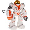 Daugiafunkcis R/C robotas
