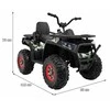 Ramiz Elektrinis keturratis ATV Desert, Moro