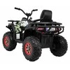 Ramiz Elektrinis keturratis ATV Desert, Moro